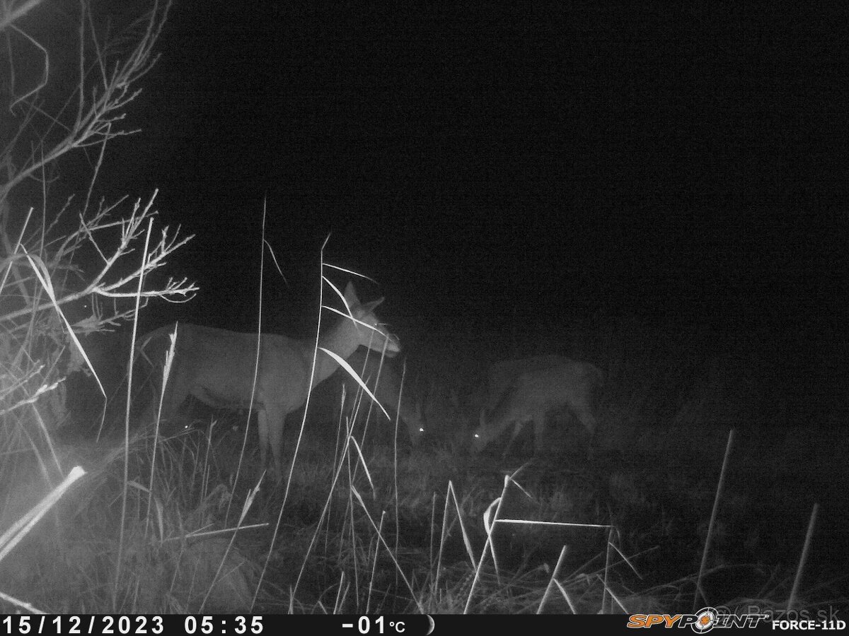 Fotopasca Spypoint force 11D - 4