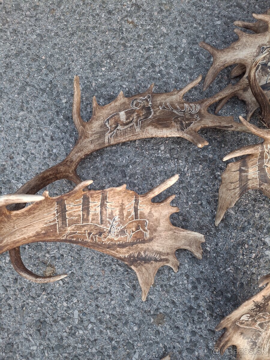 Parohy,zhody,trofeje - 4