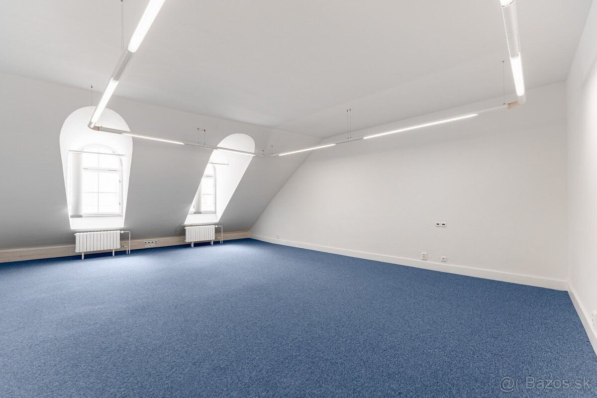 Priestory na pešej zóne v krásnej historickej budove, Michal - 4