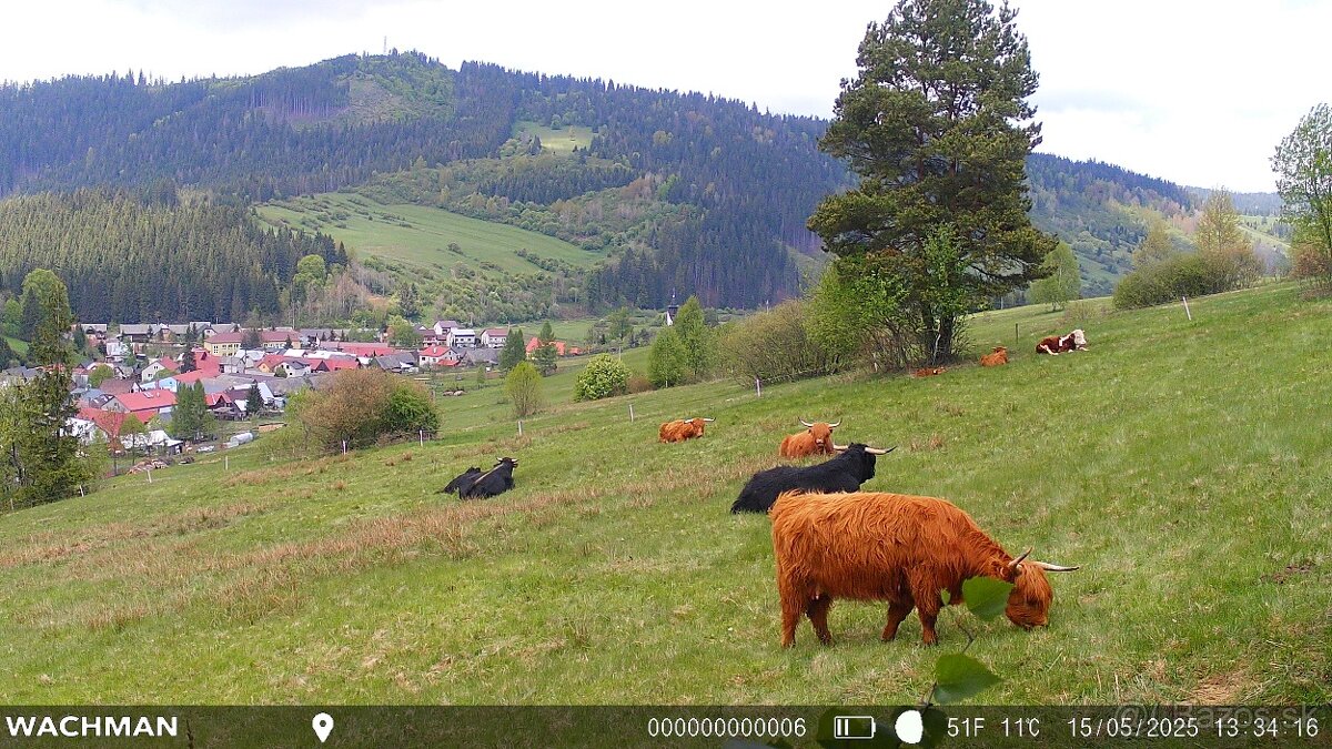 Fotopasca Wachman Rio 4G - 4