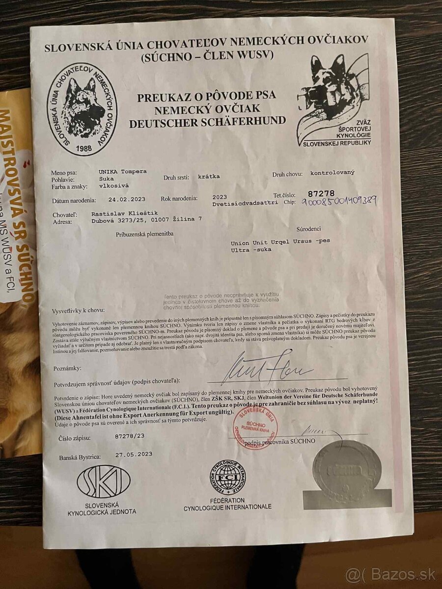 Nemecký ovčiak - 4