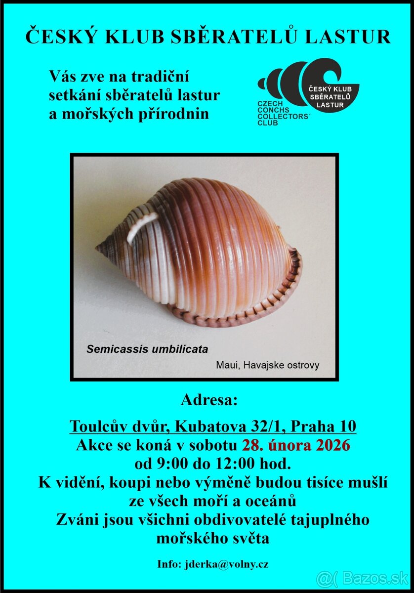 Zub - žralok tygří 2) - 4