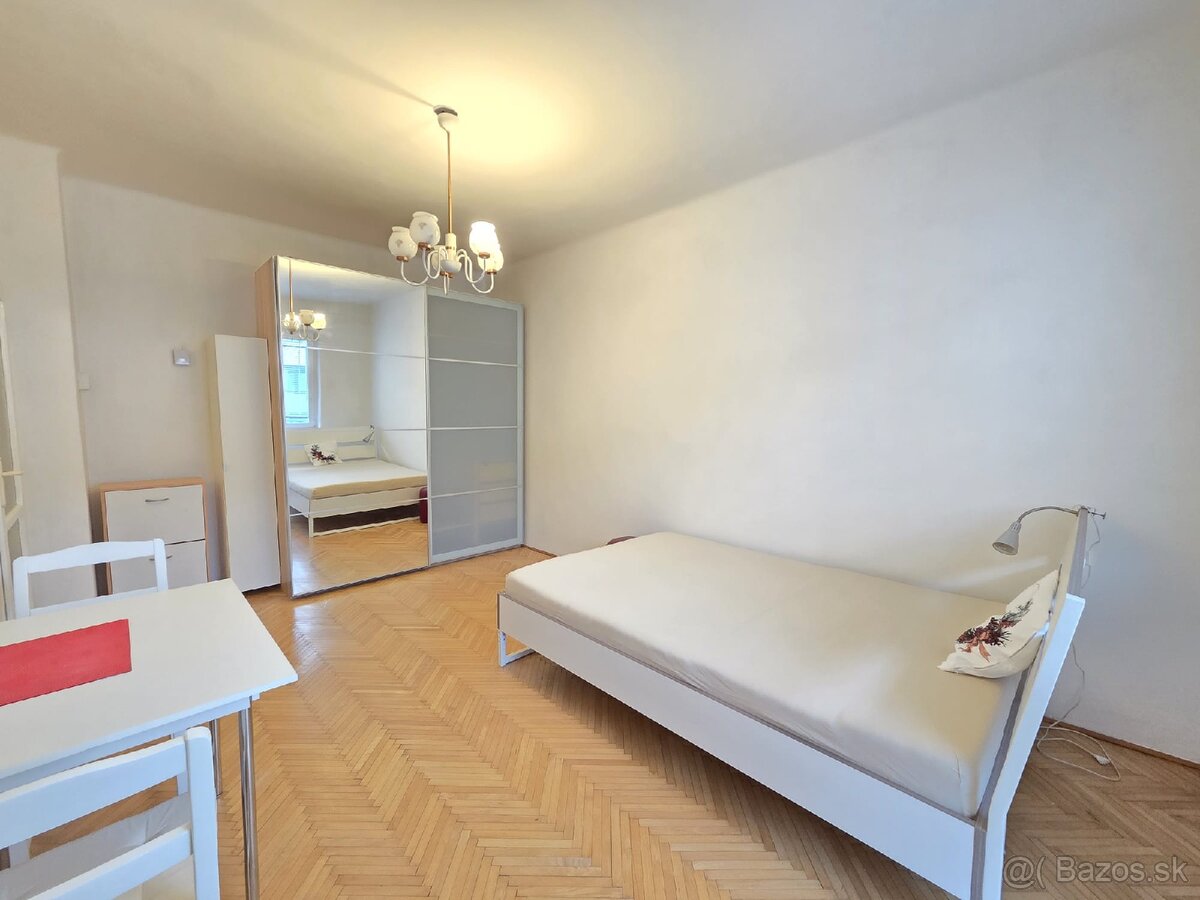 Prenájom garsónka Blumentalska PET FRIENDLY - 4