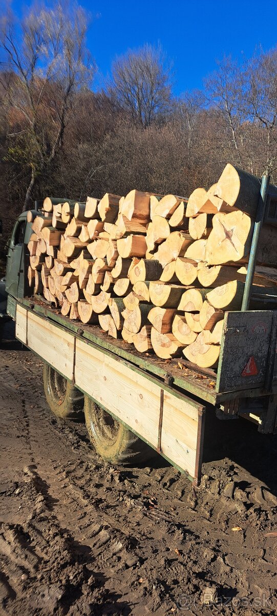 Palivove drevo buk - 4