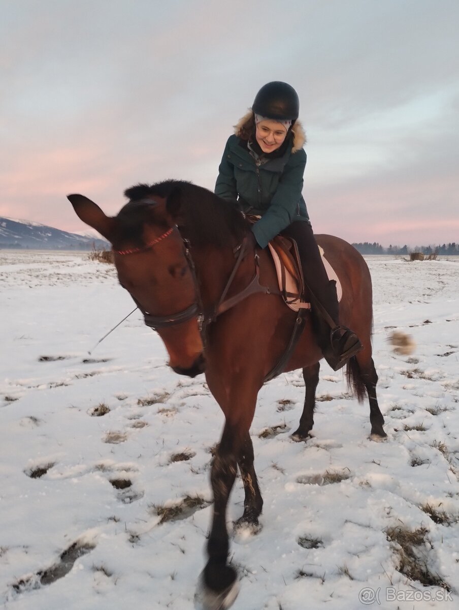 Predám/ vymením 10r kobylu na rekreaciu - 4