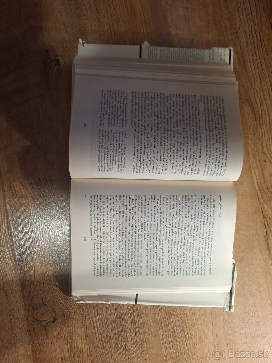 Dejiny francouzske literatúry - 4