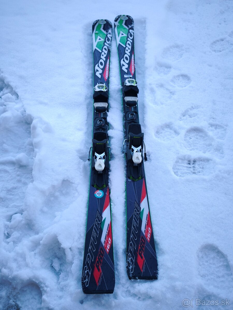 Dobermann Spitfire PRO nordica 160cm - 4