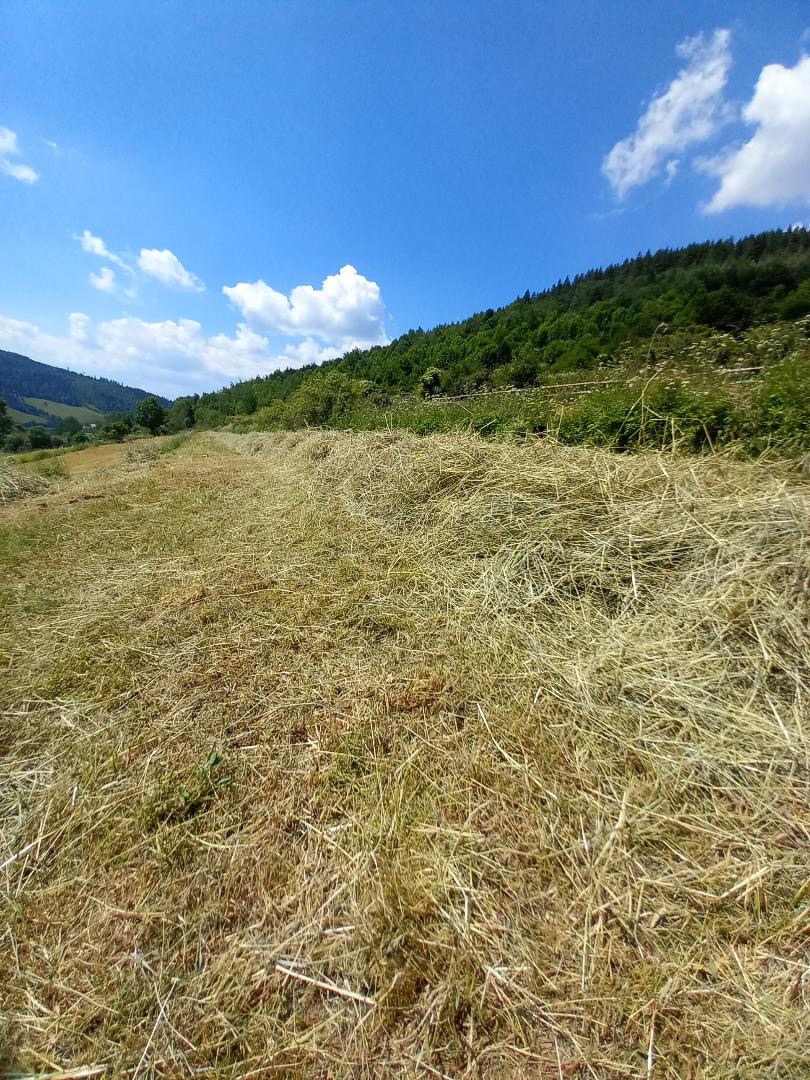 Predam lučne seno neupršane - 4