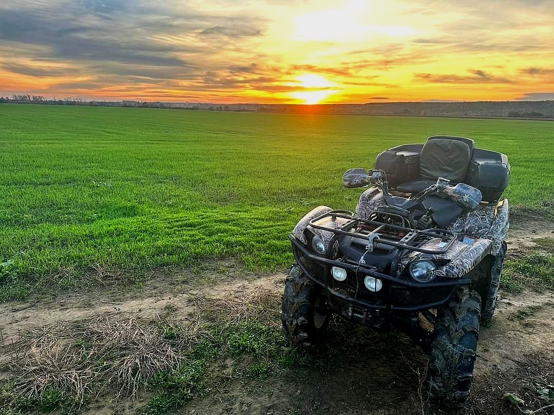 Yamaha grizzly 700 - 4