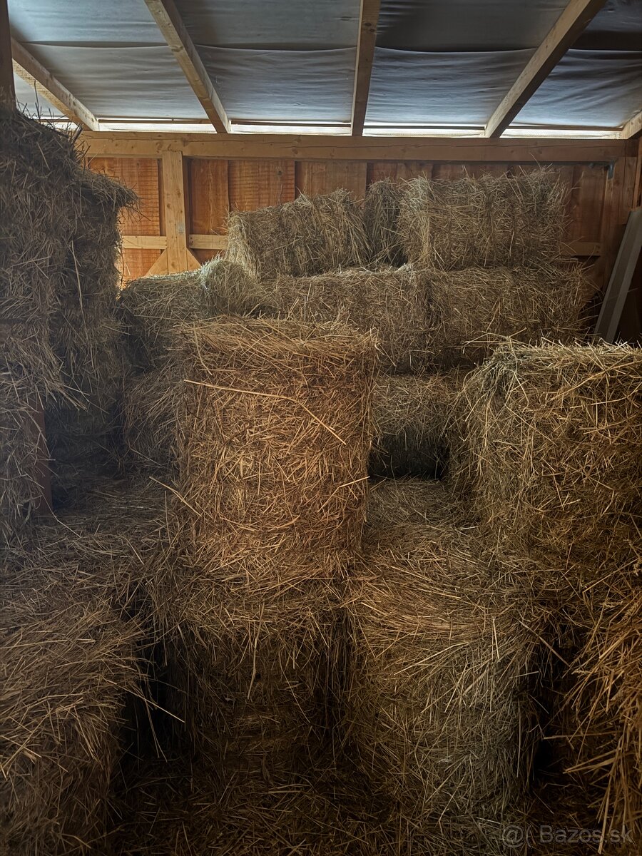 Seno guľaté balíky - 4