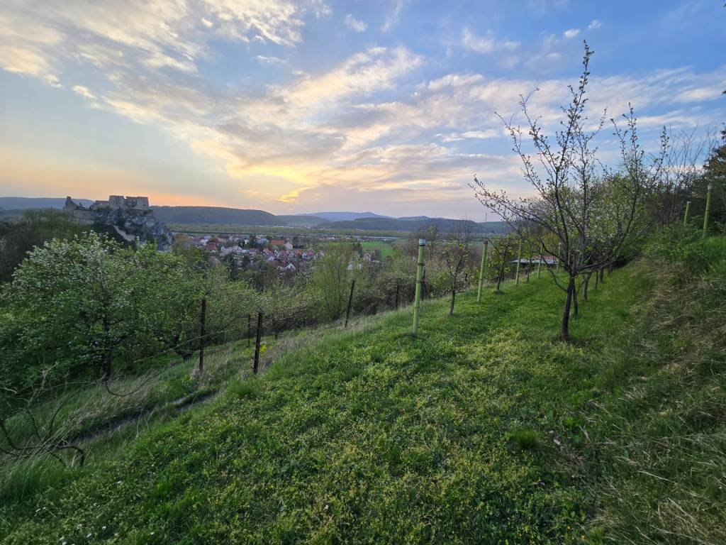 Chata s výhľadom na hrad Beckov - 4