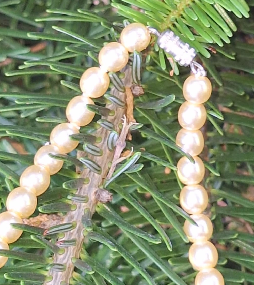 KRÁSNY STARÝ NÁHRDELNÍK - 4