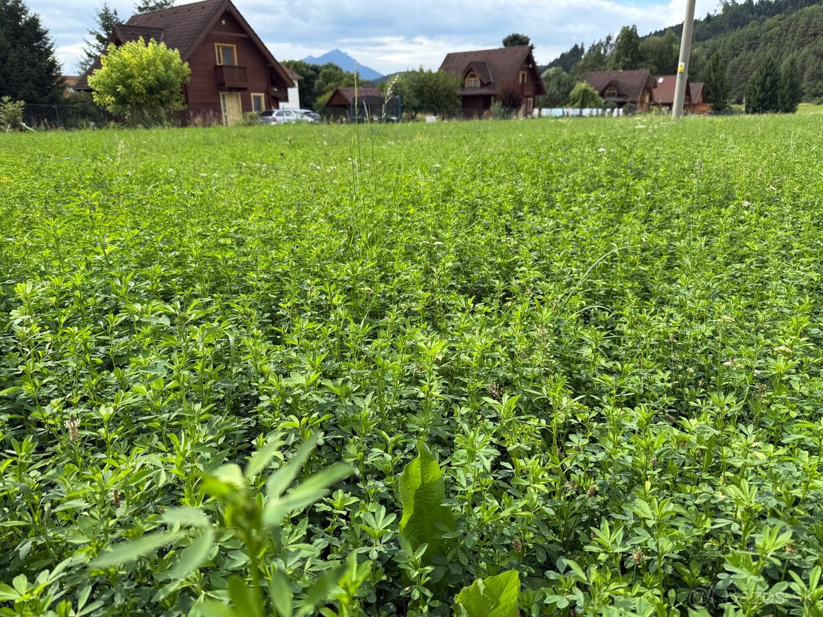 Senáž malé balíky - 4