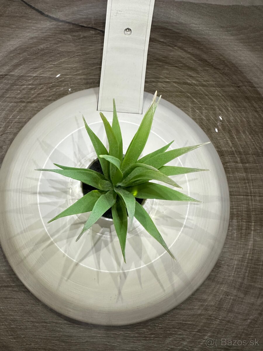 Okrúhle akvárium s lampou - 4