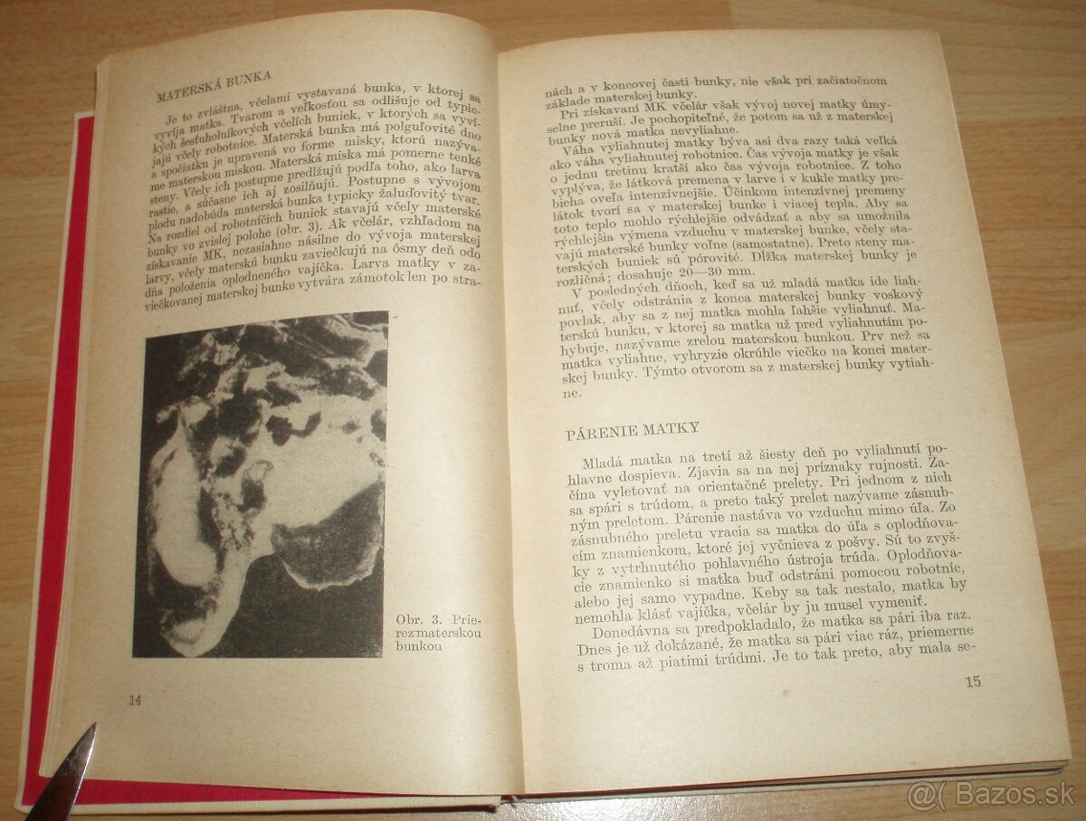 Včelia materská kašička - 4