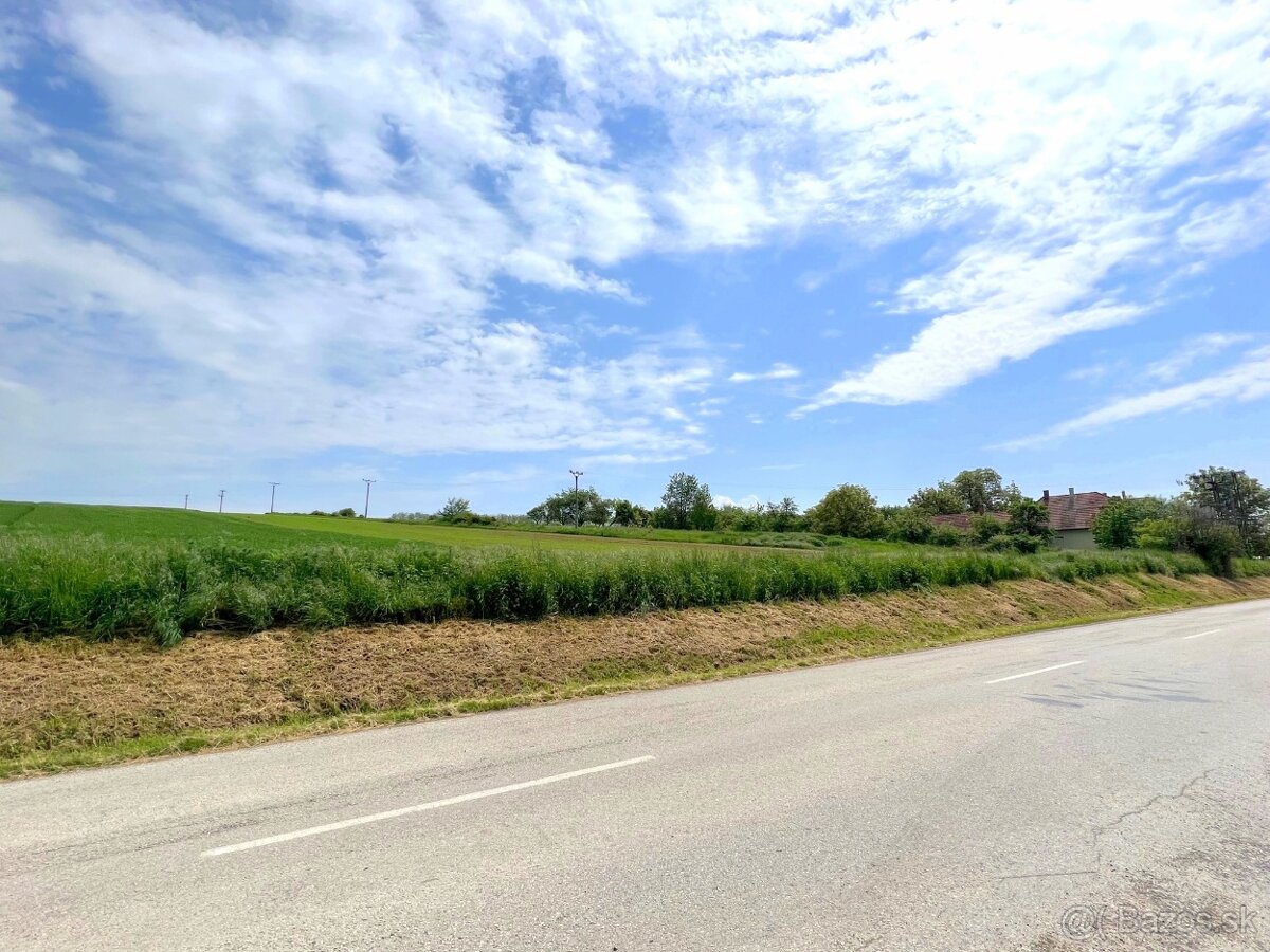 Investičná príležitosť POZEMOK 15 000 m² Malé Hoste - 4