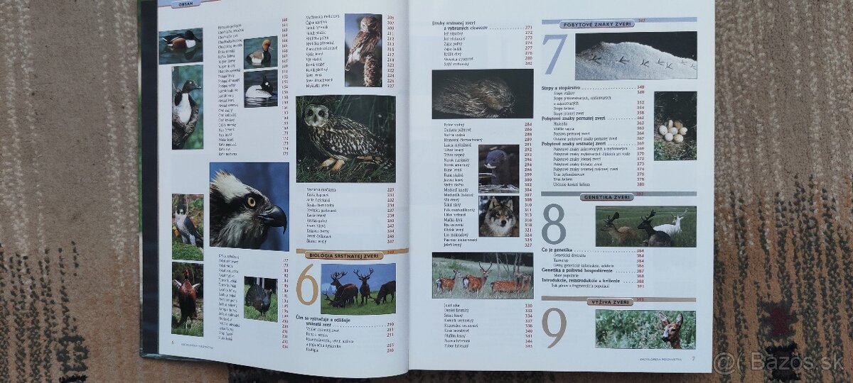 Kniha Encyklopédia Poľovníctva - 4