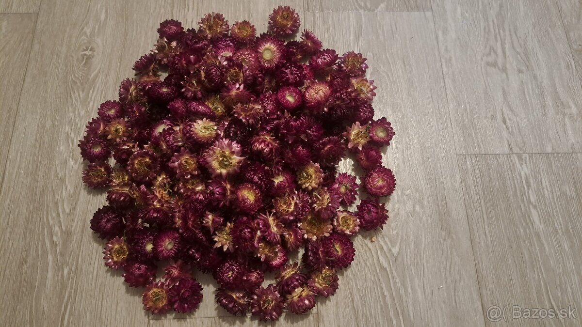 Sušené kvety - 4