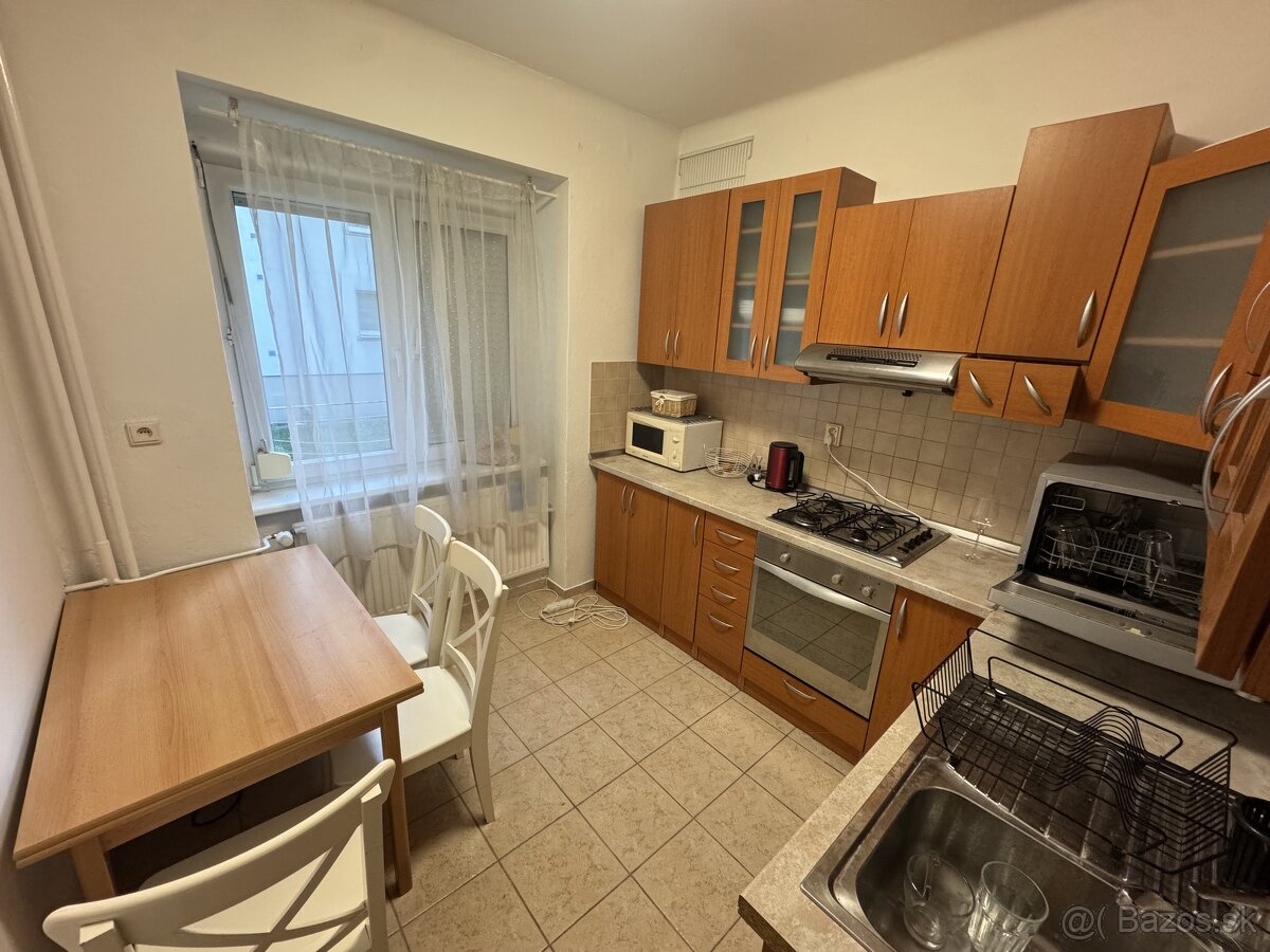 Prenajmem velký 1-izbovy byt - 4