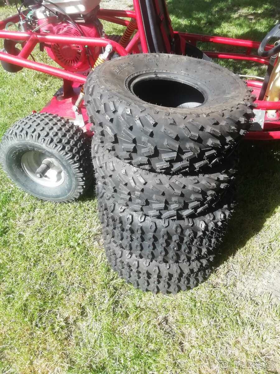 Buggy Bocart.