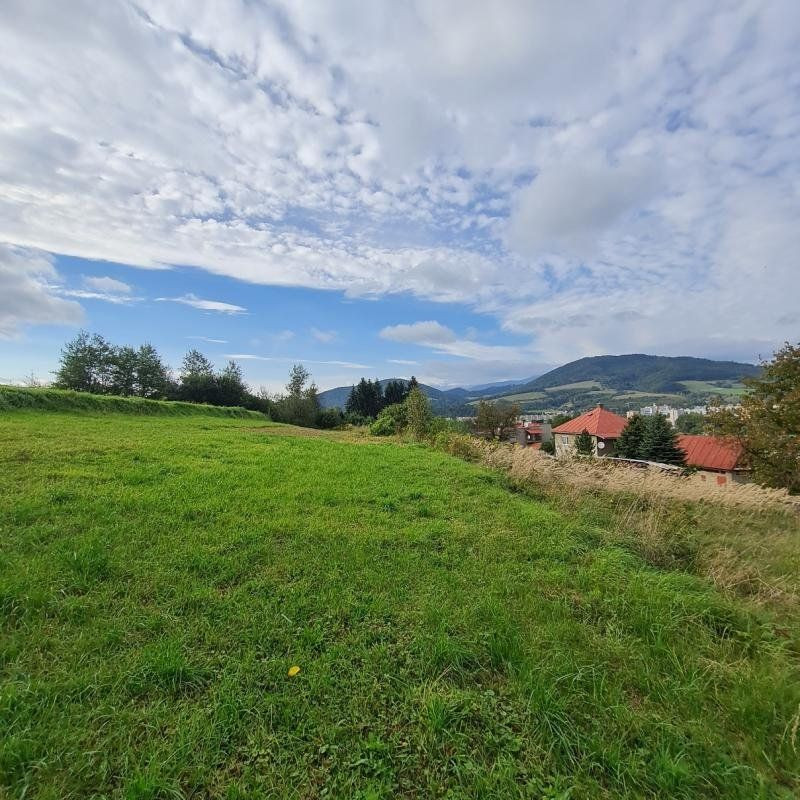 INVESTIČNÝ POZEMOK BREZNO 3344 M2 x 22,- €/M2 = 73.568,- € - 4