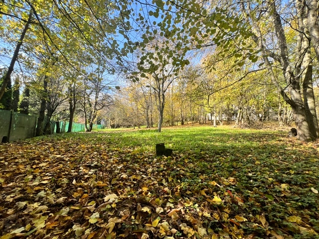 HALO reality - Predaj, rodinný dom Stará Turá, Papraď - 4