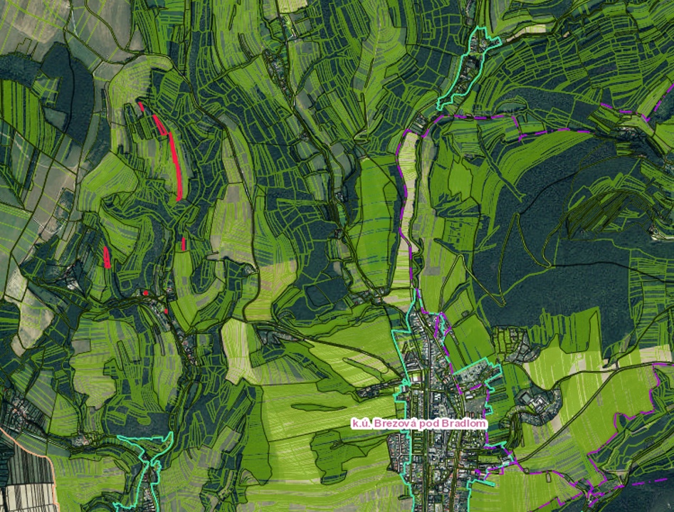 Brezová pod Bradlom - 6.350 m2 ORNÁ PÔDA a LES - 4