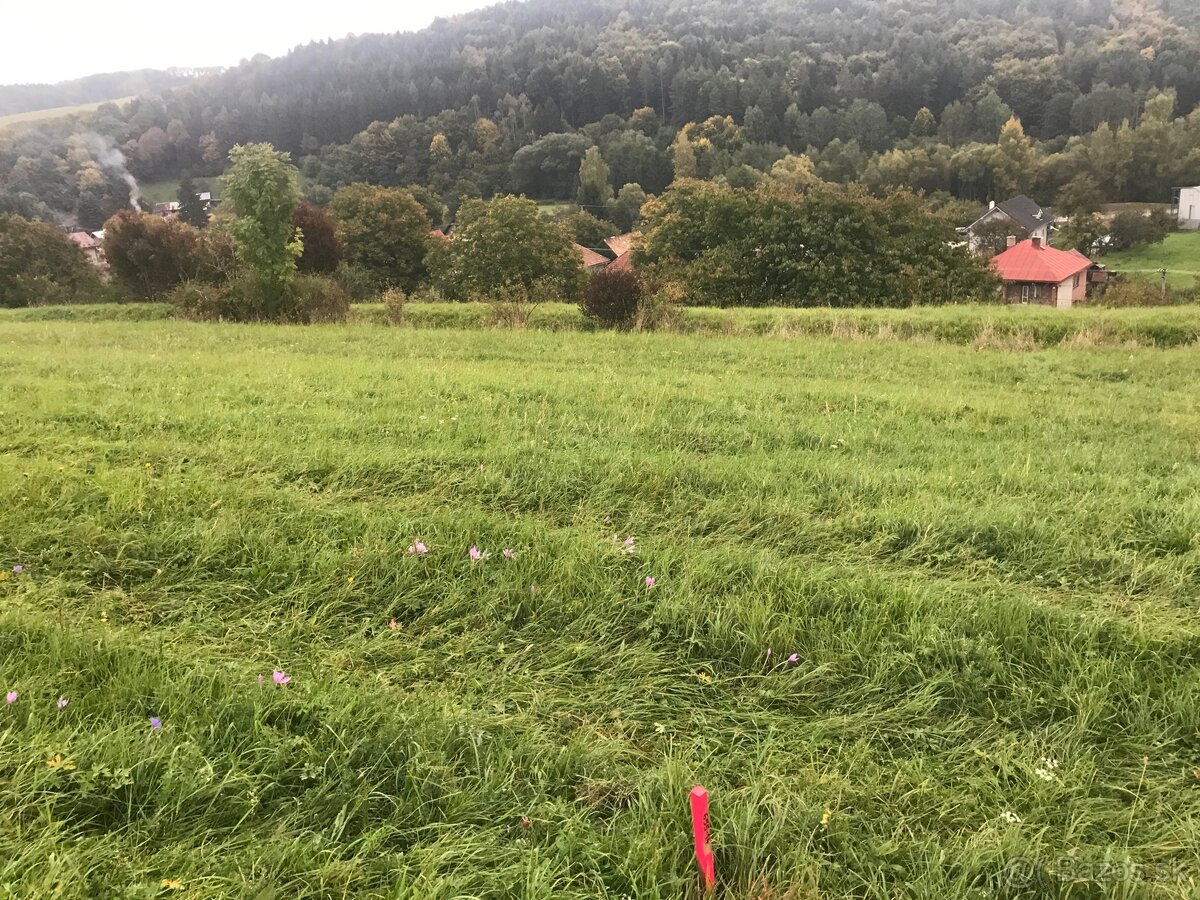 Krasny pozemok s vyhladom na Chopok - 4