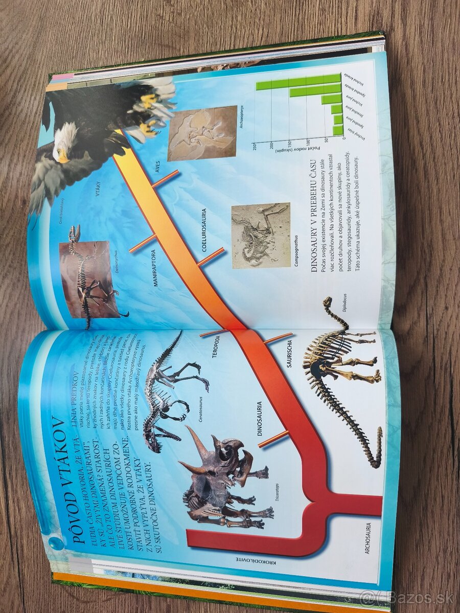 Encyklopédia dinosaurov - 4