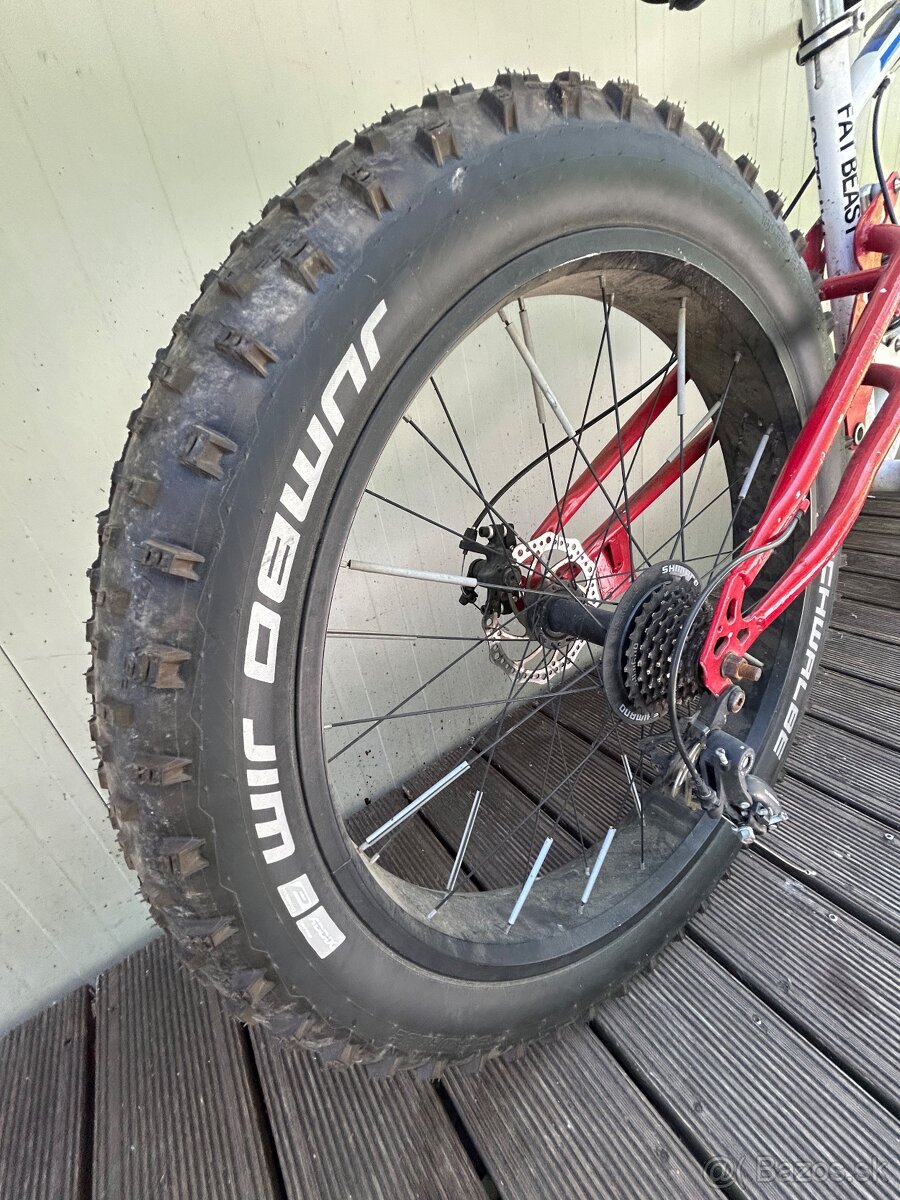 Fat-Bike - 4