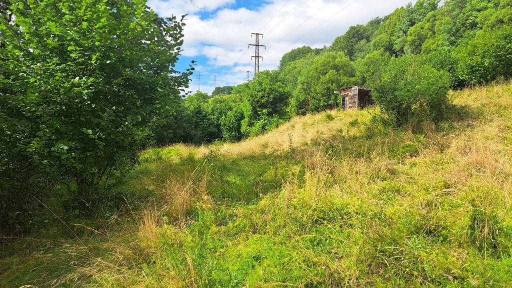 NOVÁ CENA Na predaj je záhrada o výmere 3398 m2 v Kremnici - 4