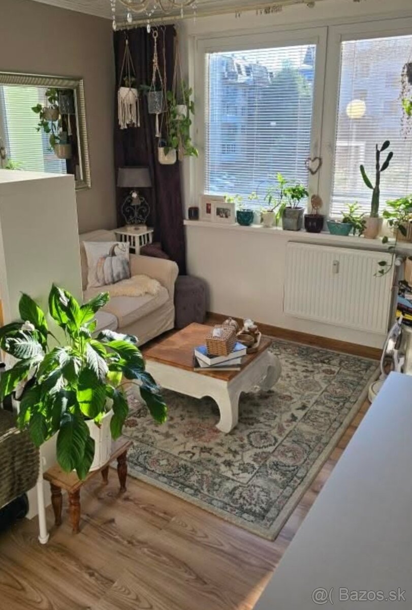 1. Izbovy byt na prenajom - 4