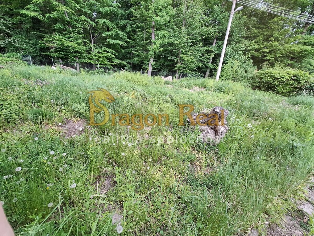 PREDAJ – Pozemok vhodný na výstavbu s chatou – KALUŽA - 4