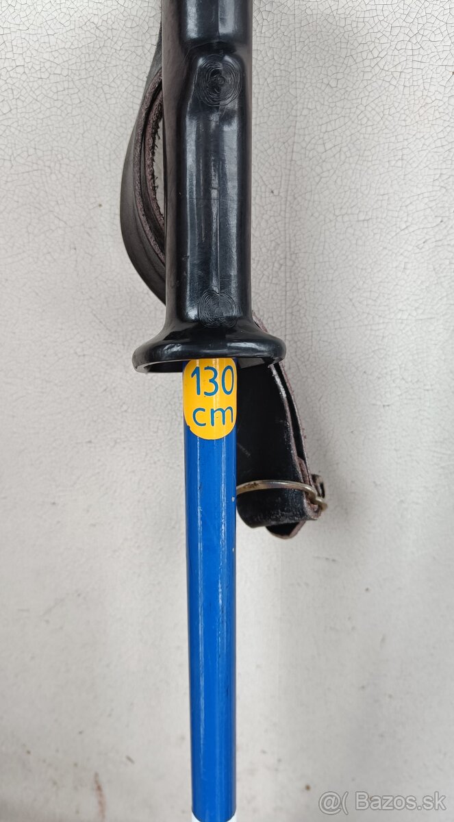 lyže Rossignol aj s palicami - 4