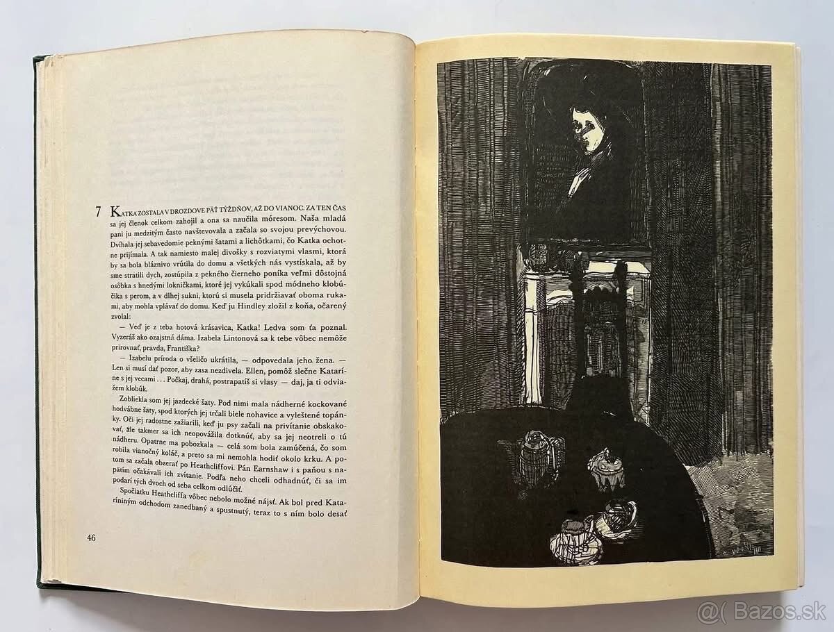 BÚRLIVÉ VÝŠINY + ďalšie knihy - 4