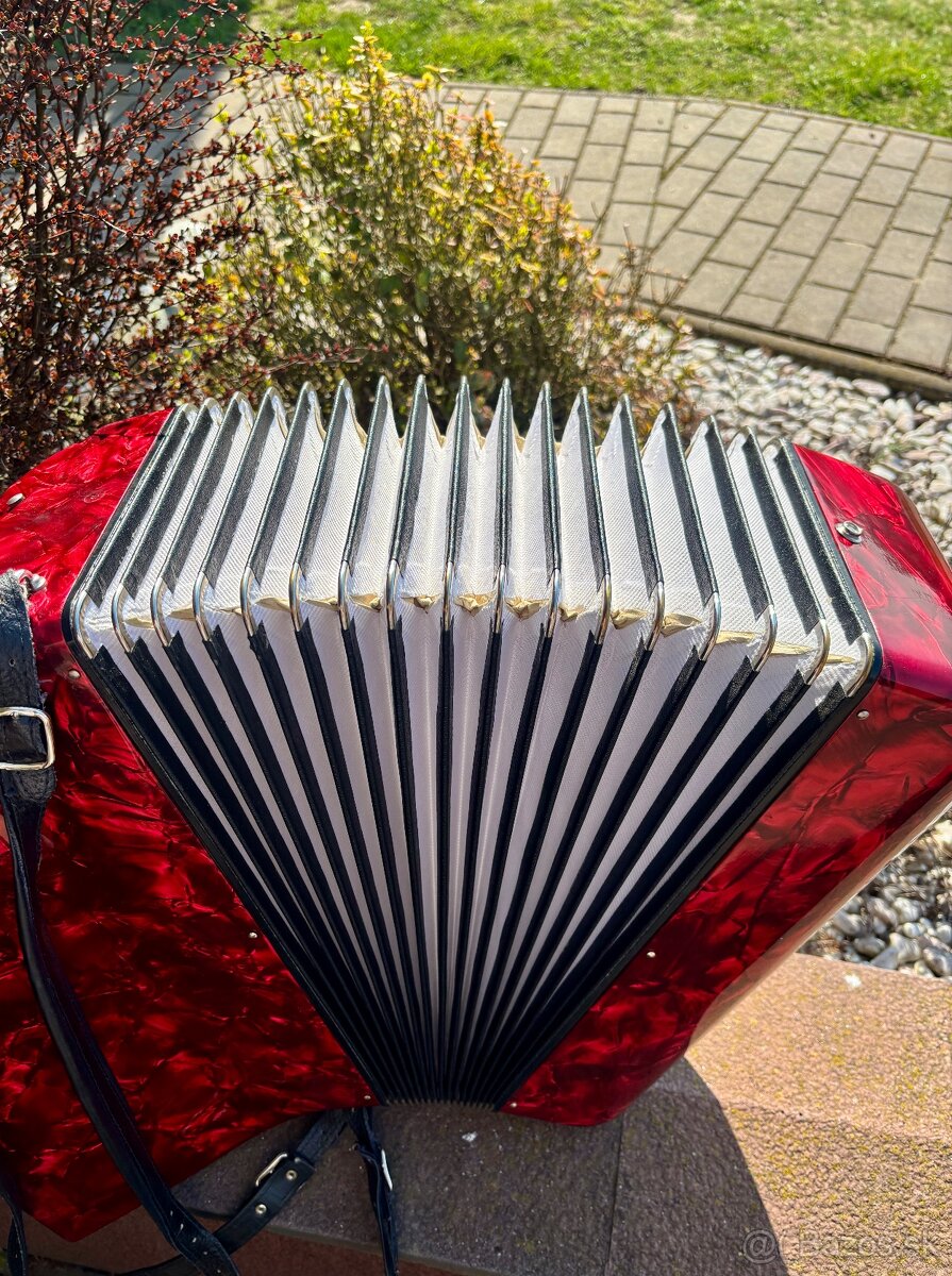 Delicia Carmen 23 96 bas - 4