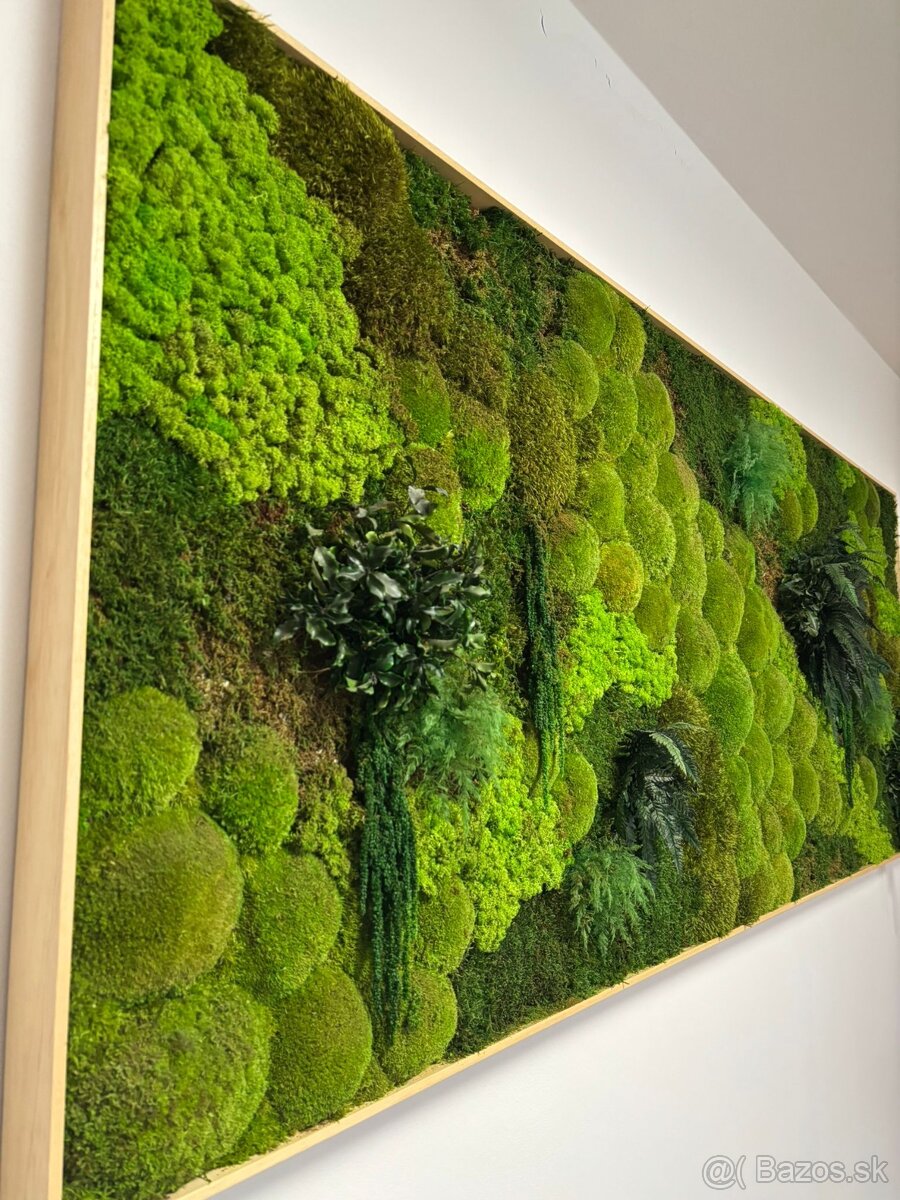 Machový obraz - rastliny - 4