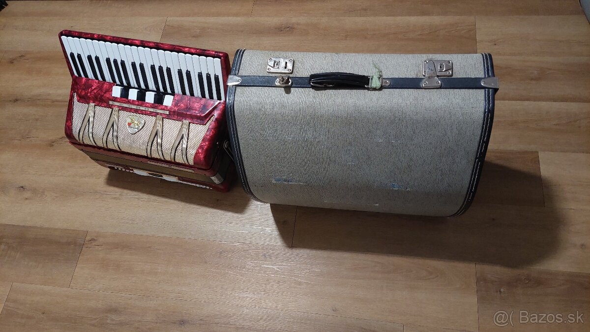 Akordeón Delicia Lignatone Aida VIII - 4