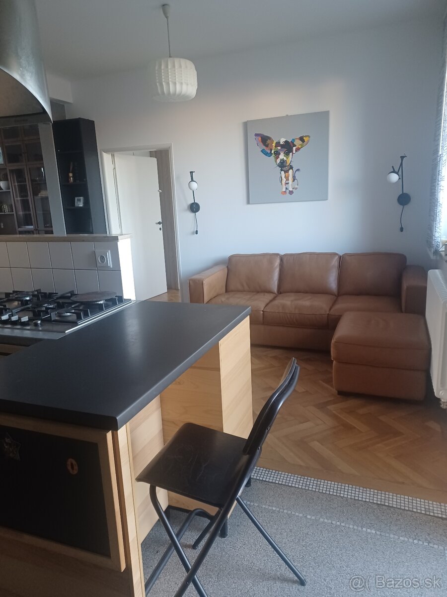 Prenajmem zrekonštruovaný 2-izbový byt v centra mesta - 4