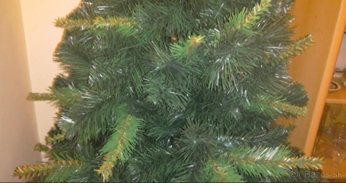Predám vianočný stromček - 4