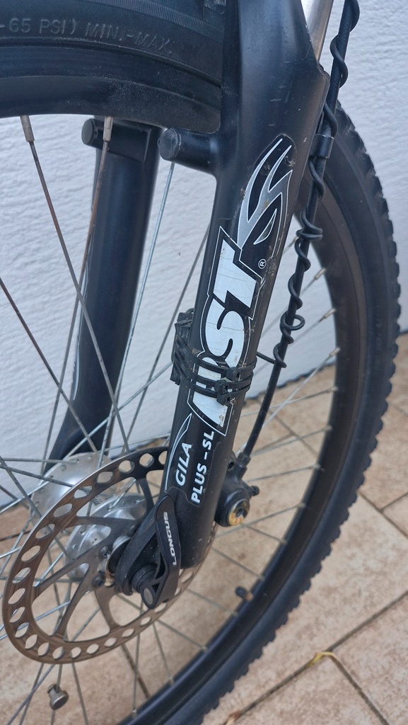 Kellys Salamander - 4