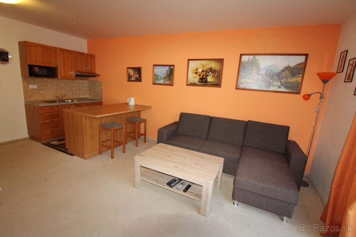 Apartmán v blízkosti jazera a lyžiarskeho strediska - Hrabov - 4