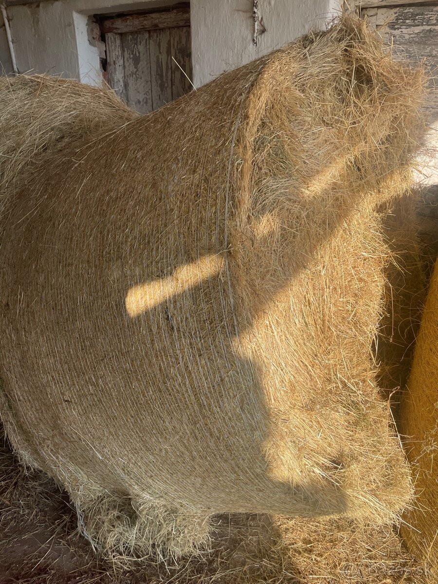 Okruhle baliky -seno - 4