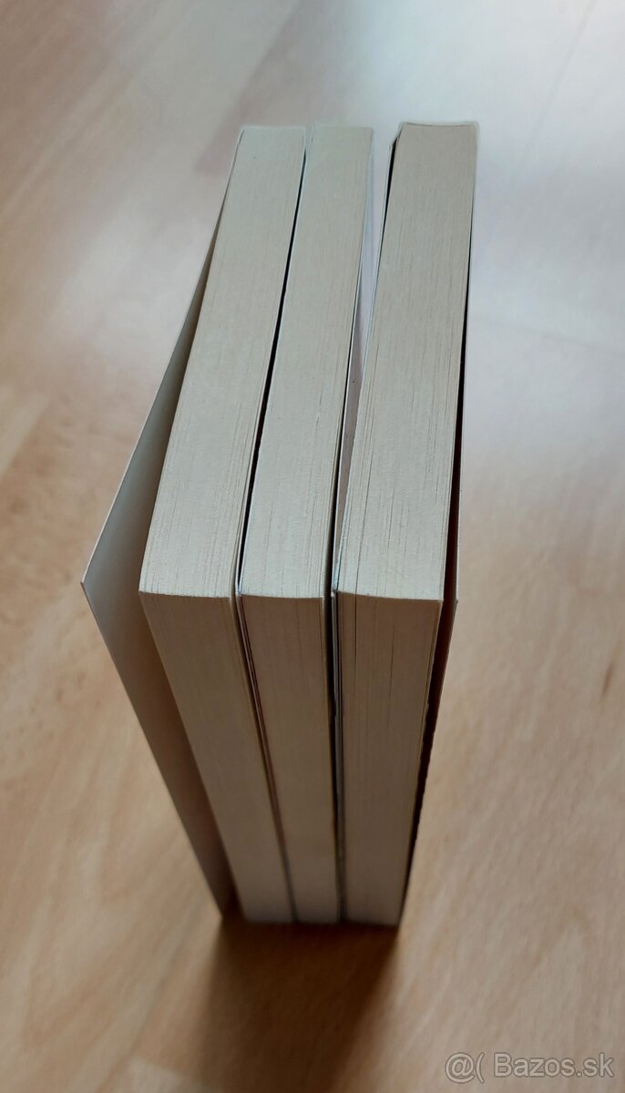 T. Pratchett - Vypraveni o nomech (vsetky 3 diely) - 4