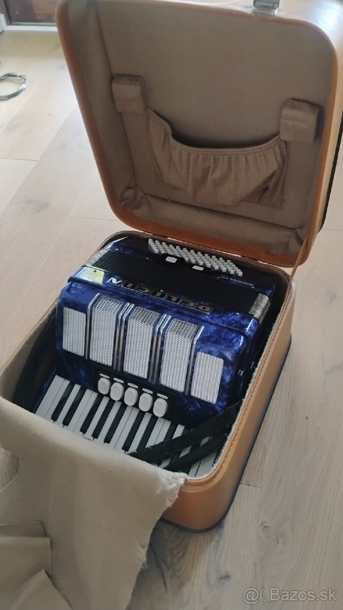 Akordeón Delicia Junior XIII - 4