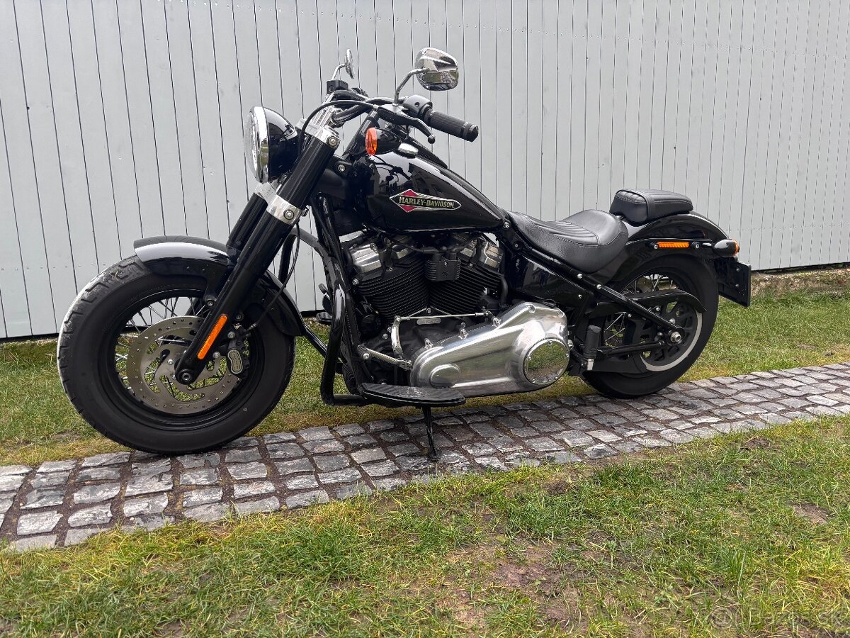Harley Davidson FLSL - 4