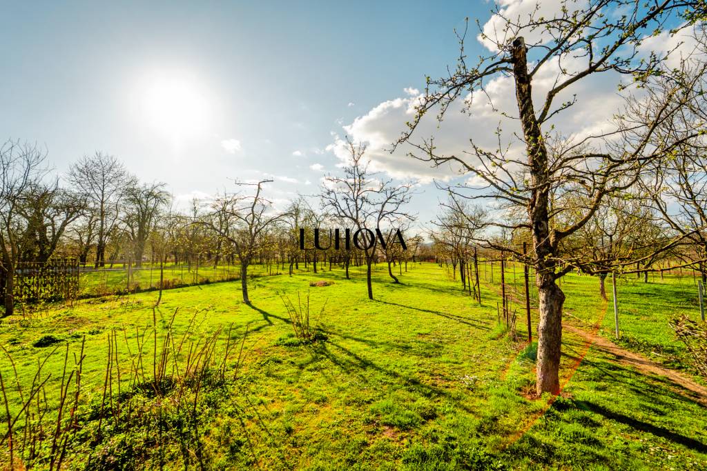 Rodinný dom s krásnou záhradou - 4