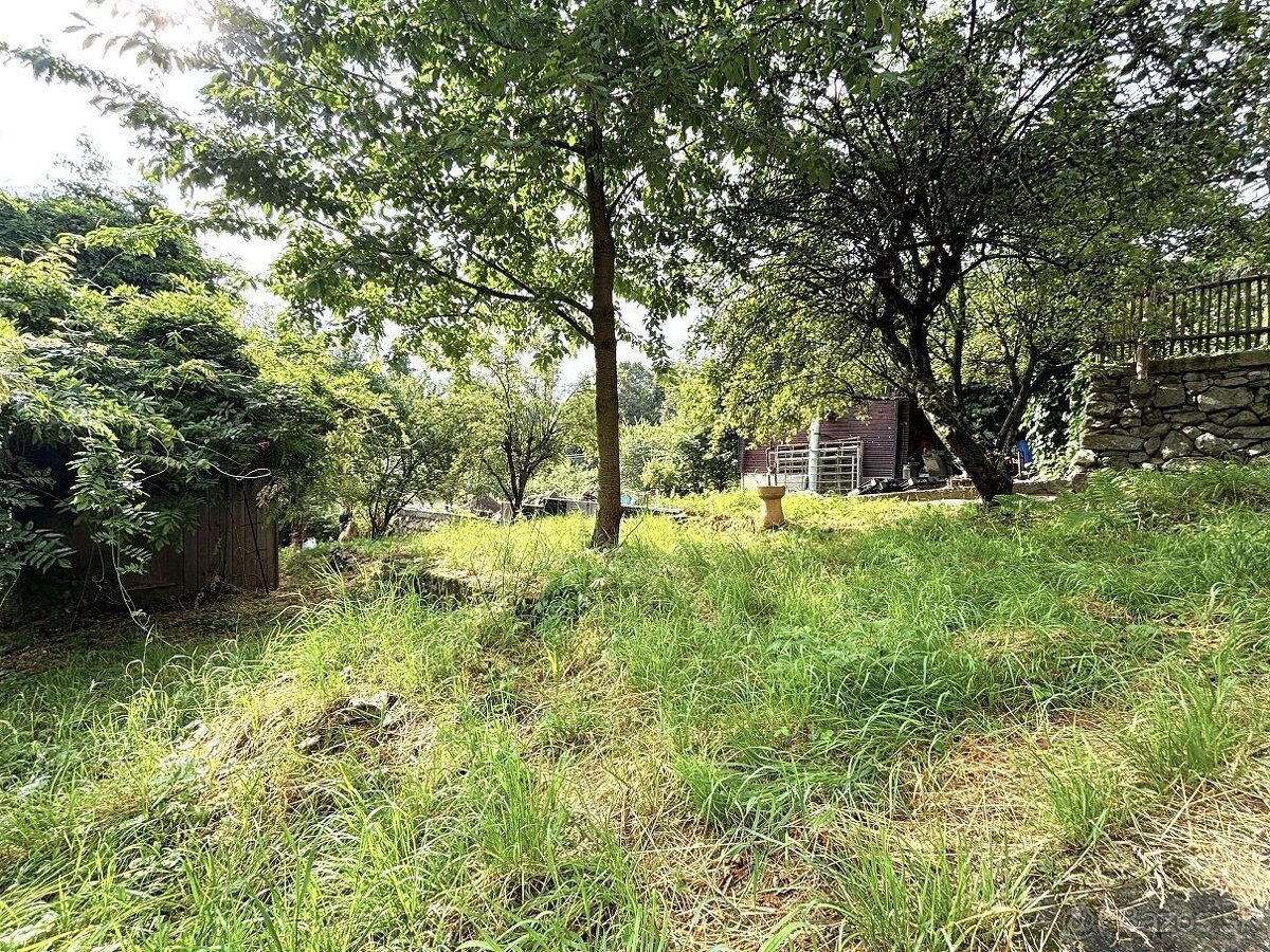 Záhrada 566 m² v Dúbravke| Elektrina | Ticho a zeleň - 4