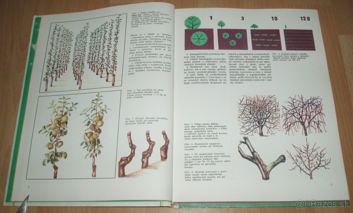 Tvarovanie a rez ovocných drevín - 4