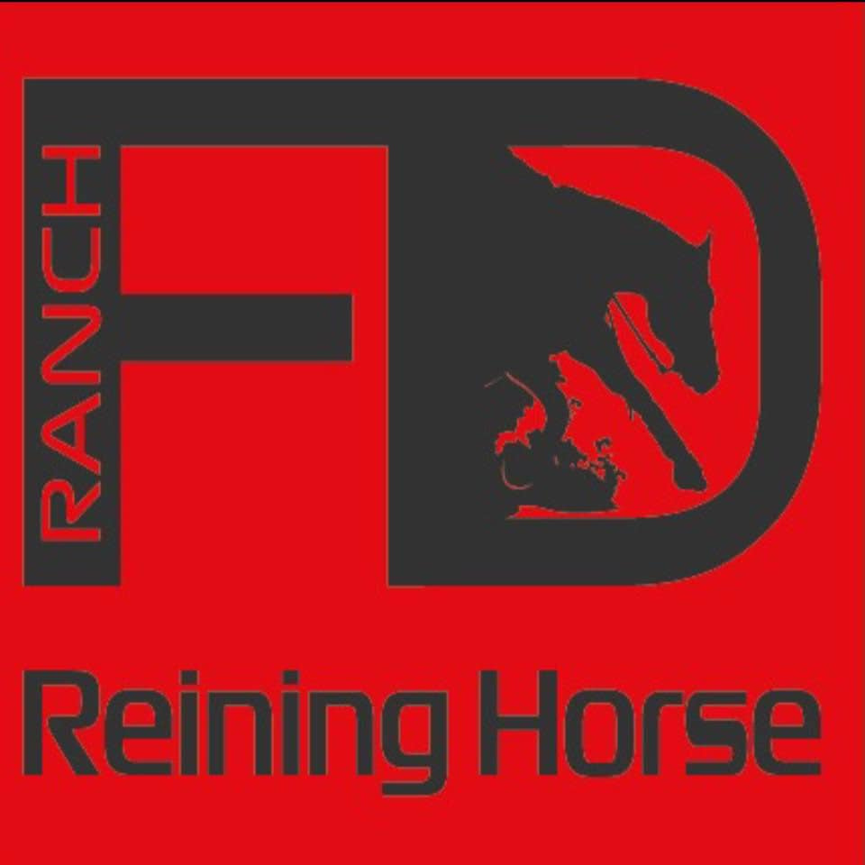 Reining QH valach - 4